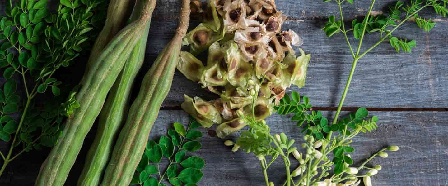 Ano ang Moringa Tea, Ano ang mga Benepisyo ng Moringa Tea?